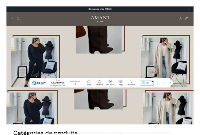 do shopify store clone store copy store replicate